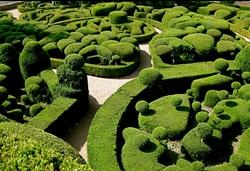 La siepe di bosso Spettacolari siepi di bosso