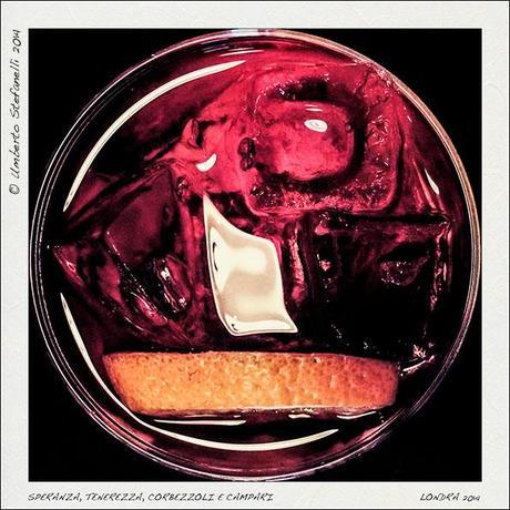 31_12_14_speranza_tenerezza_corbezzoli_e_campari_pg 31_12_14_speranza_tenerezza_corbezzoli_e_campari_pg