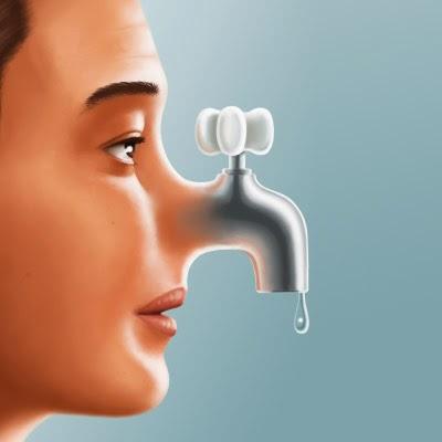 Secondo dove la batte, segnala ner buo ar gatto, seminare i frasconi, sentire | Parole e verbi in disuso