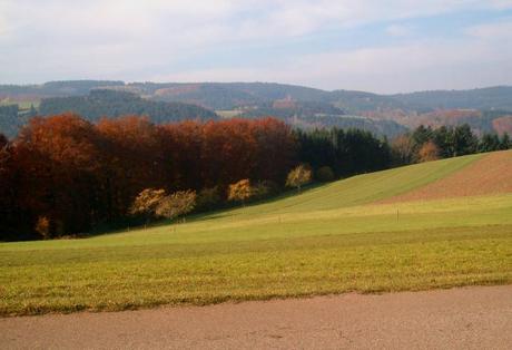 CUORE, COME CAMPO D’AUTUNNO