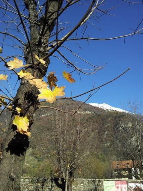 Escursione sulla via dei pizzoccheri in Valtellina