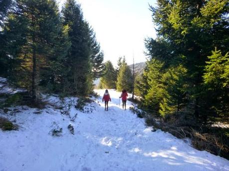 Winter trekking on Lessinia Mountains, namely...a good 2015 start