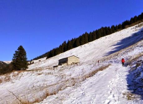 Winter trekking on Lessinia Mountains, namely...a good 2015 start