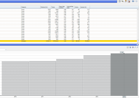 2014=3146km di corsa