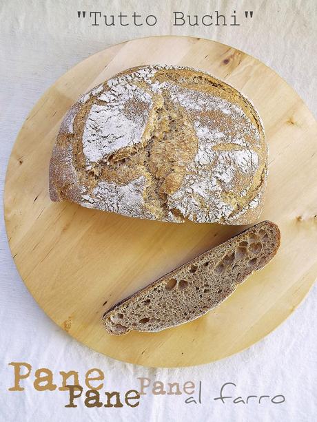 Pane farro 