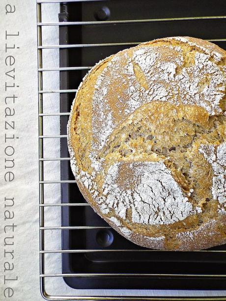 Pane al farro Pane al farro