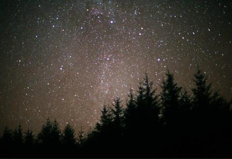 Foresta di Galloway, Scozia