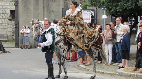 Pallio della Carriera 2014