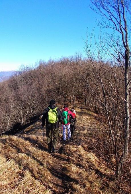 Da Crocefieschi a monte Maggio (GE)