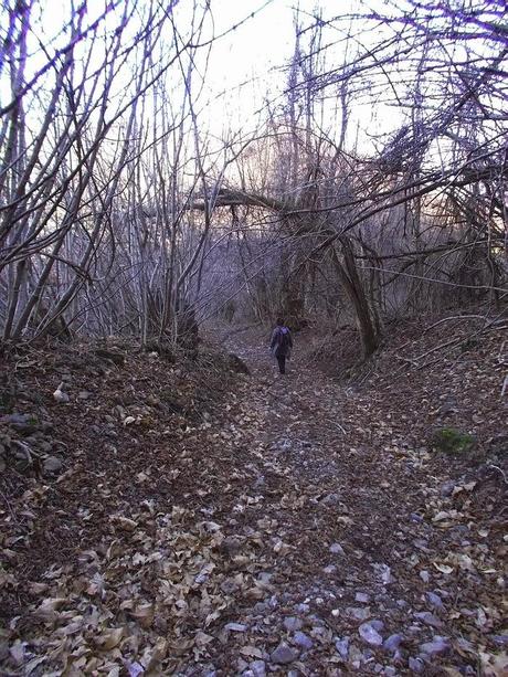 Da Crocefieschi a monte Maggio (GE)