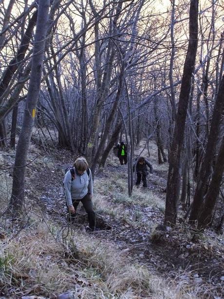 Da Crocefieschi a monte Maggio (GE)