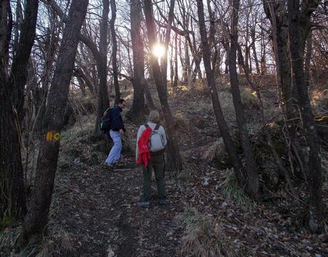 Da Crocefieschi a monte Maggio (GE)