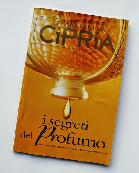 Cipria Magazine - Un tocco di bellezza nella tua vita!