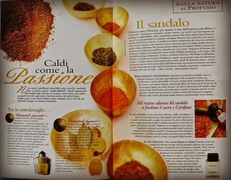 Cipria Magazine - Un tocco di bellezza nella tua vita!