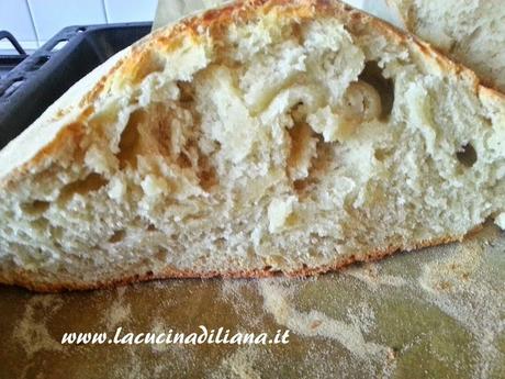 Pane Bianco a Lievitazione Naturale