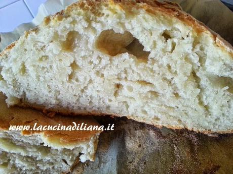 Pane Bianco a Lievitazione Naturale