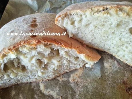 Pane Bianco a Lievitazione Naturale