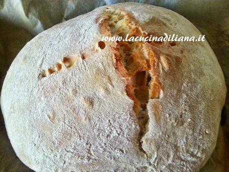 Pane Bianco a Lievitazione Naturale