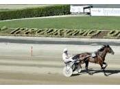 Ippica: domani Vinovo scatta nuova stagione corse