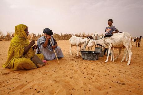 36_Mauritania_Bugia_nomade_arriva__Tanouchert