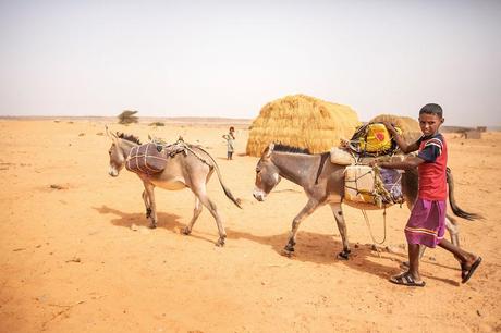 15_Mauritania_asini_trasportano_acqua