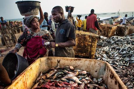 06_Mauritania_pesano_pesce