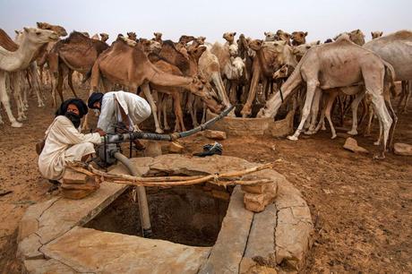 32_Mauritania_nomadi_pompano_acqua_pozzo_cammelli