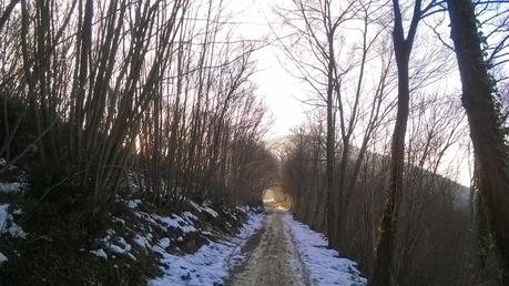 Il silenzio dell'inverno