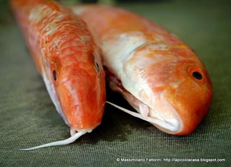 Il pesce alla griglia: triglie di scoglio con erba limoncina e pelatini saltai prezzemolo, porto e aceto di lamponi