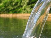 Scienza Ayurvedica tempo della disintossicazione