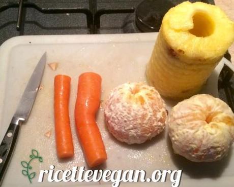 ricettevegan.org - estrattore carote anans arancio 2