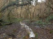 Continua esplorazione