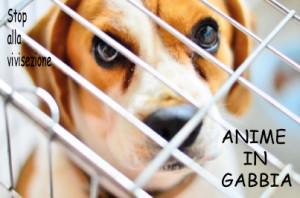 Anime in gabbia | stop vivisezione | Collezione i Cuccioli