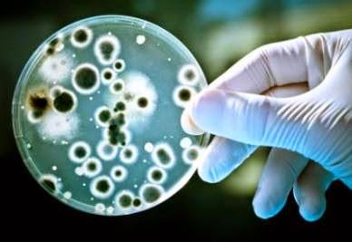 Nuovo antibiotico contro i microbi resistenti