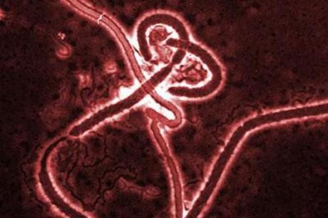 Ebola: diminuiscono i casi in Liberia, parla l’anestesista tornata in Sardegna