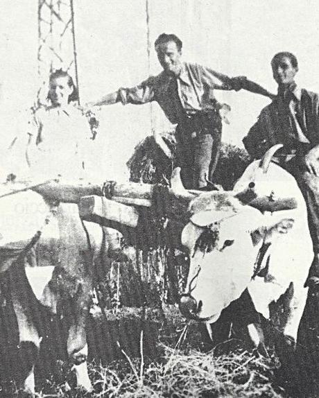 Campagna lucchese nel 1935: contadini su un carro trainato dai buoi