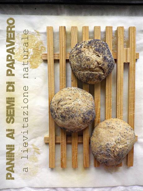Panini ai semi di papavero Panini ai semi di papavero