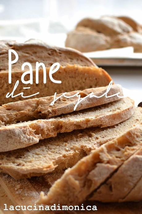 pane di segale