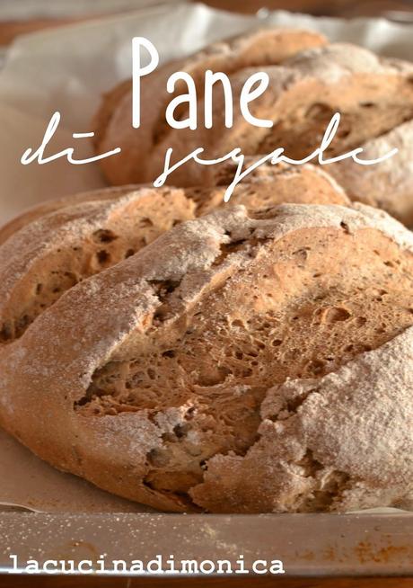 pane di segale