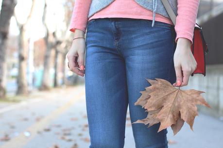 Leaves in winter