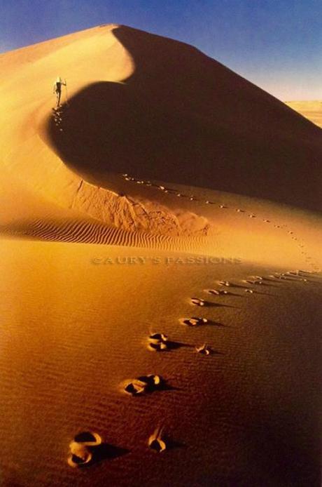 Bonatti deserto Namibia