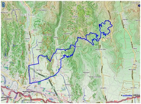 Mountain Bike on the Apricots downhill (11/1, 2015)