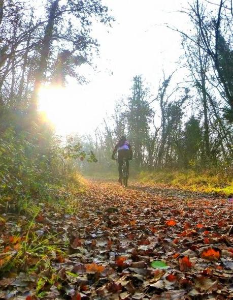 Mountain Bike on the Apricots downhill (11/1, 2015)