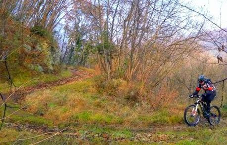 Mountain Bike on the Apricots downhill (11/1, 2015)