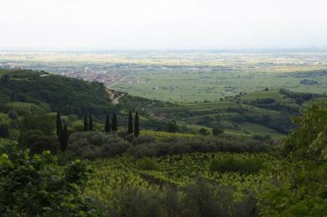 In provincia di Verona: Soave e il suo territorio