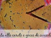 Torta vegan alle carote gocce cioccolata