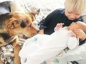 Theo, Beau Evvie: riposino