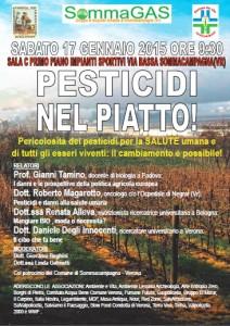 SommaGas Pesticidi nel piatto conferenza 2014