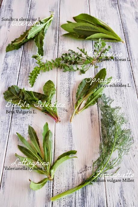 Te cardo, te la se messa la camicia a rovescio, tenre come un oracolo, terratrepoli | Parole e verbi in disuso