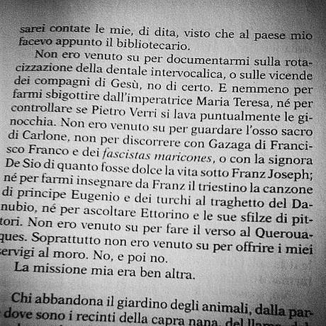 #iltempodileggere #inlettura #pagina33 #libri #currentlyreading #page33 #books